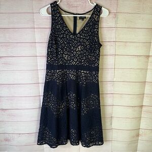 The Limited Navy Blue Cotton Lace Sleeveless Dress Size 4‎